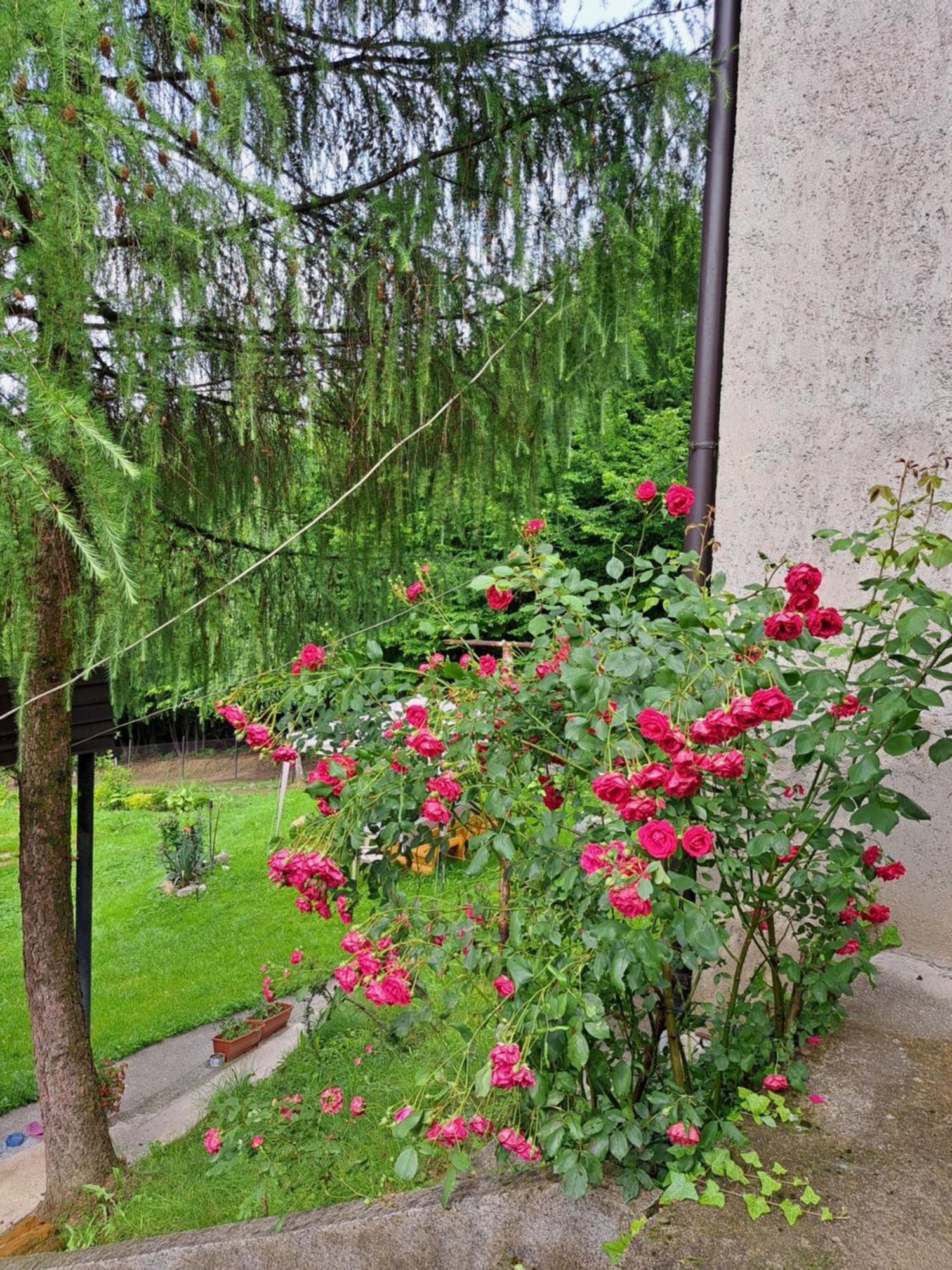 Mala Farma Nani Villa Visoko Exterior photo