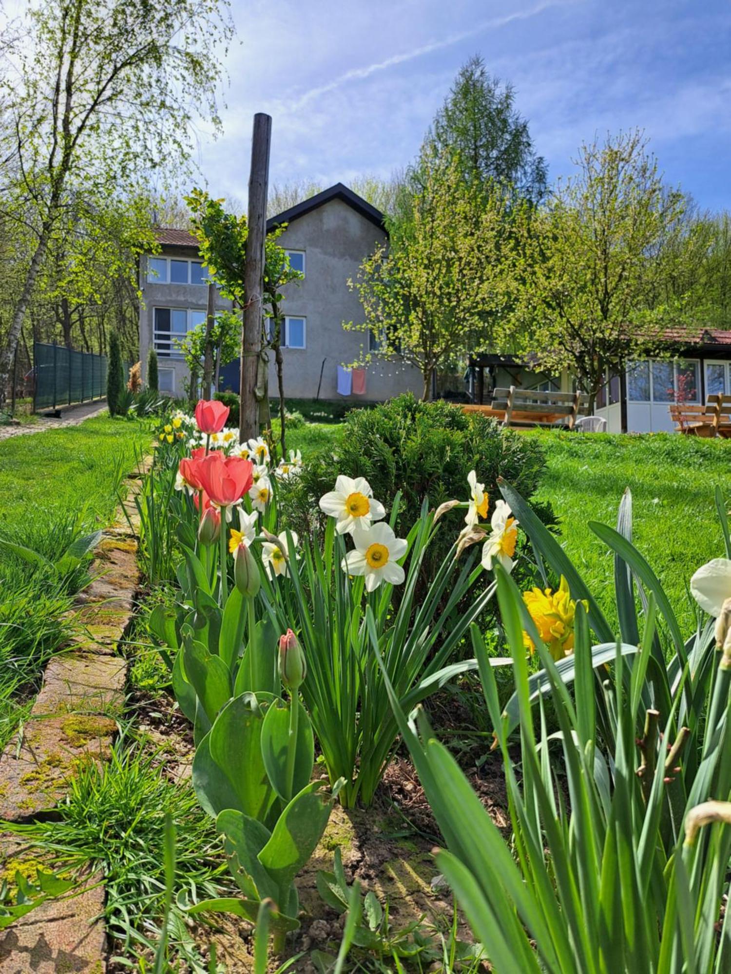 Mala Farma Nani Villa Visoko Exterior photo