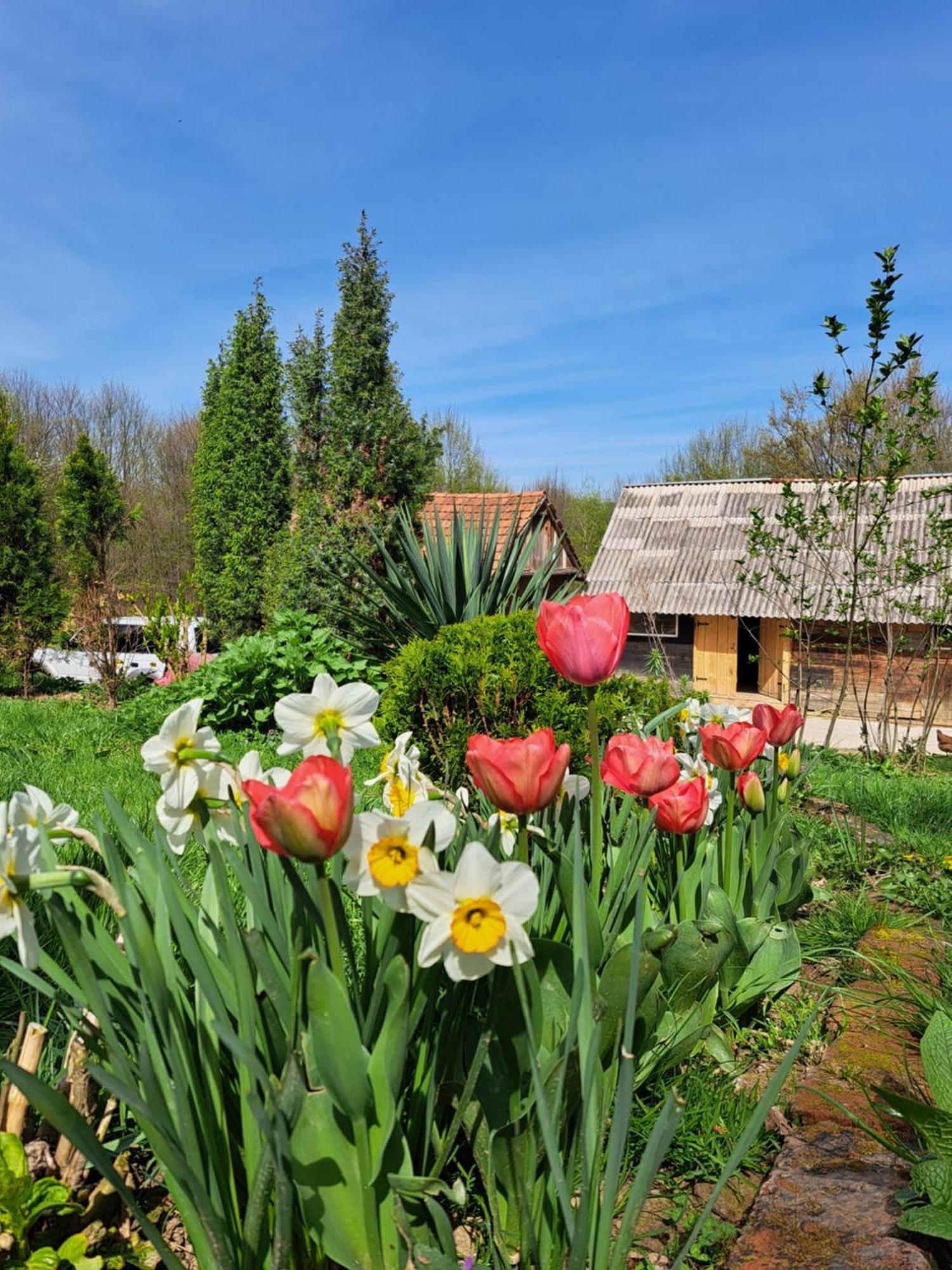 Mala Farma Nani Villa Visoko Exterior photo